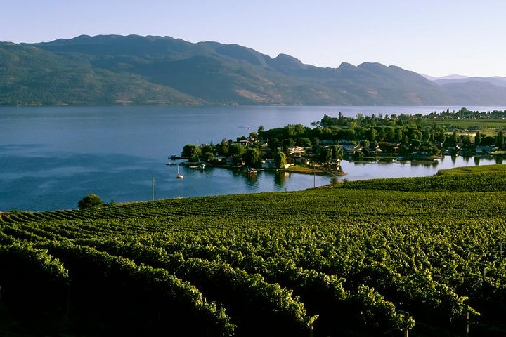 West Kelowna Wine Tour – Classic – 4 Wineries