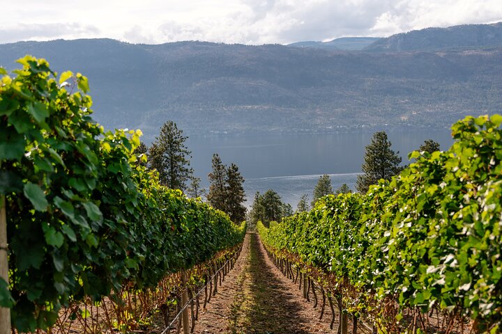 Lake Country Wine Tour + Lunch