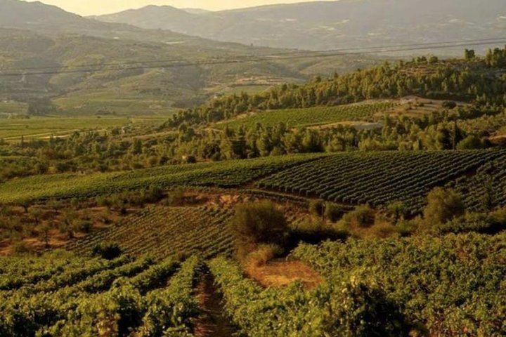 Nemea Private Wine Tour For Two Dedicated Wine Lovers (From Athens)