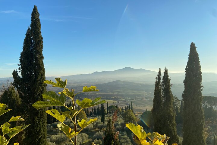 Full-day Val d’Orcia Tour with Wine and Cheese Tastings