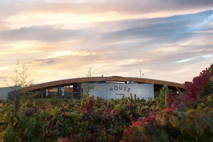 Pick up Valparaiso Port Visit House Casa Vino Winery & Transfer