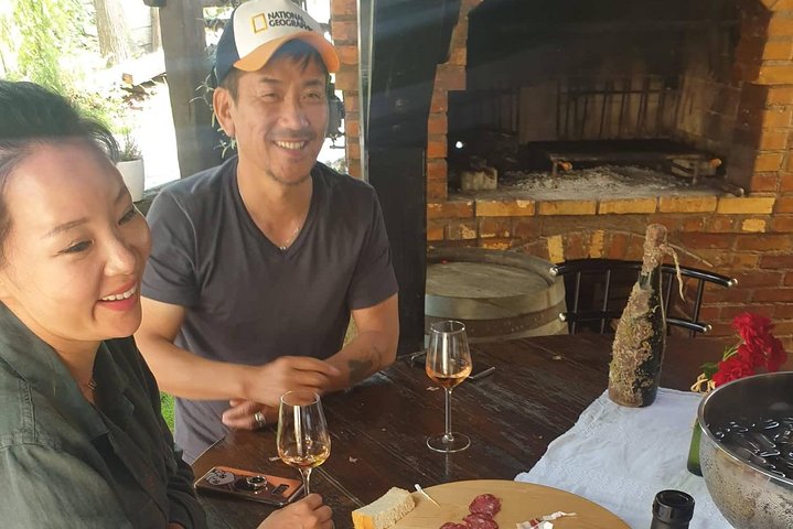 Plesivica countryside Wine Tasting