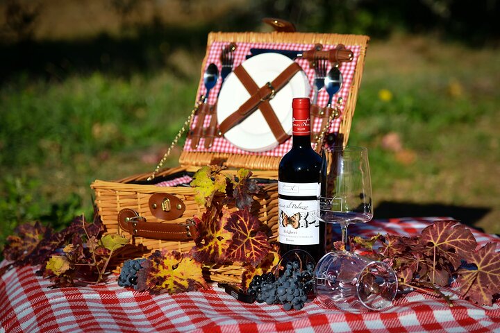 Bolgheri Small Group Tour with Wine Tasting from Florence