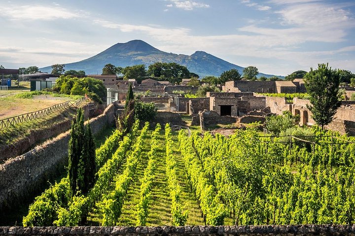 Pompeii & Wine Tour – ALL INCLUSIVE