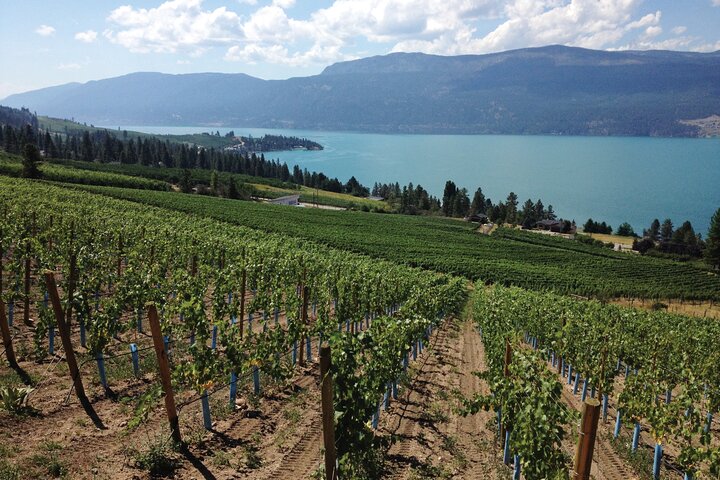 Lake Country Wine Tour