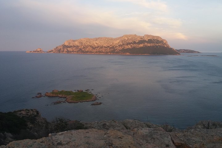 Sardinia’s Wine Experience