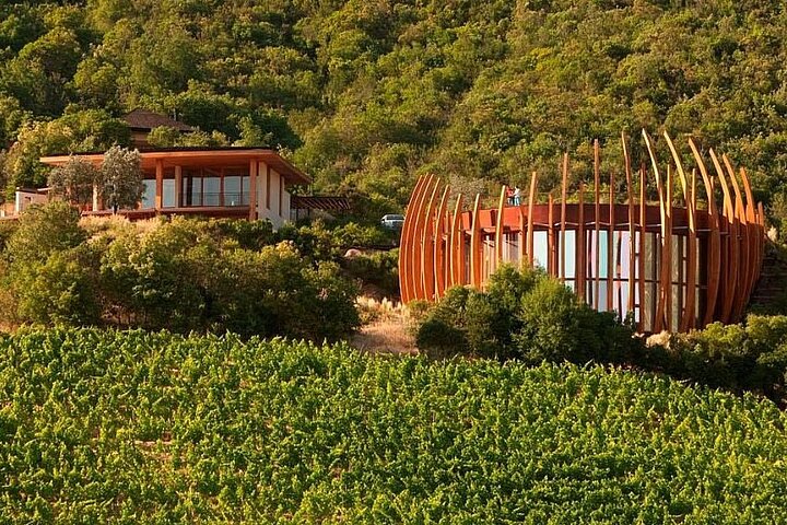 Colchagua Valley Experience