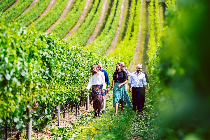 Tasmanian Wine Tour