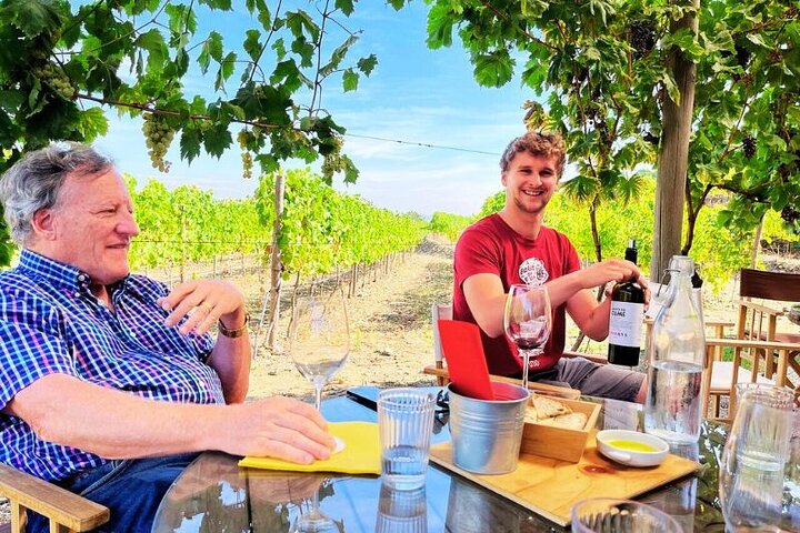 Halbprivate Tour durch das Douro-Tal mit zwei Weingütern, Mittagessen und optionaler Kreuzfahrt
