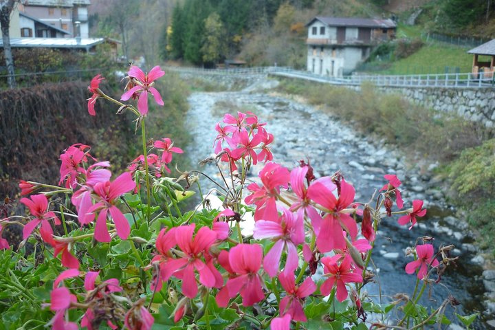 Day trip from Milan: Valtellina and wine tasting – private tour