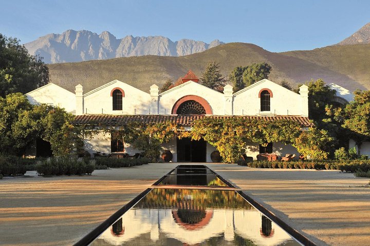 Wine in the Shadow of the Andes: Errazuriz and San Esteban Vineyards