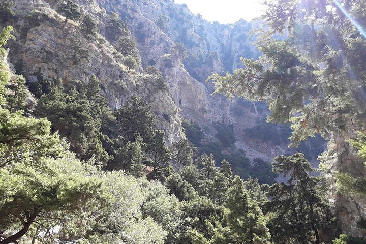 Hike Imbros Gorge and visit Frangokastello Beach Private Tour