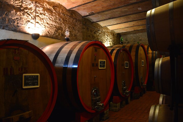 Brunello di Montalcino Small Group Day Tour from Florence