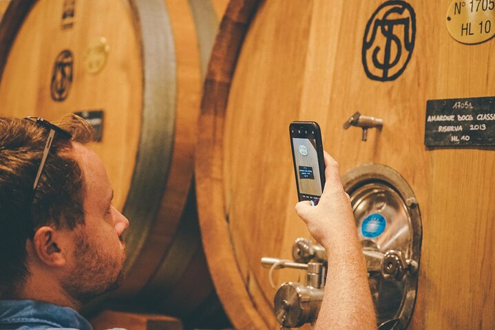 Valpolicella and Amarone Wine Small-group Tour from Lake Garda