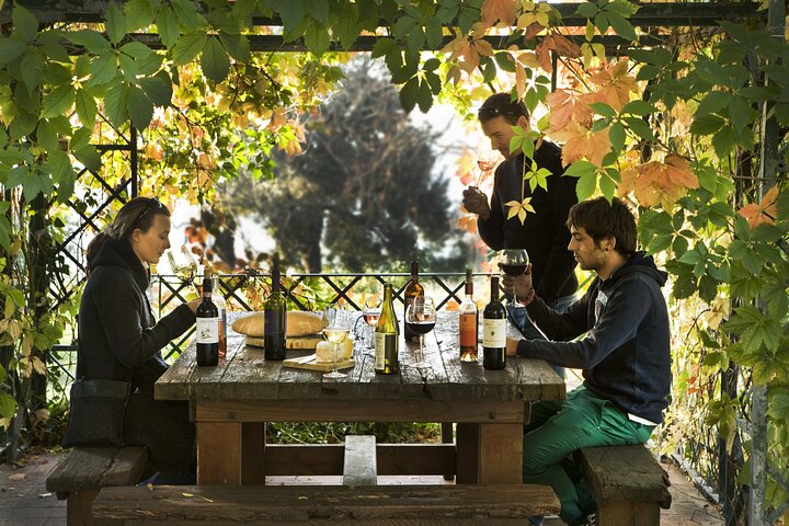 Chianti Rufina Private Half Day Tour with Lunch and Wine Tasting from Florence