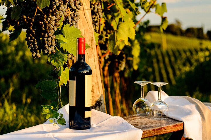 From Bologna: Chianti wine Experience with lunch