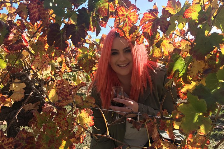 Swan Valley Winery Experience &#8211; Ganztägige Busreise