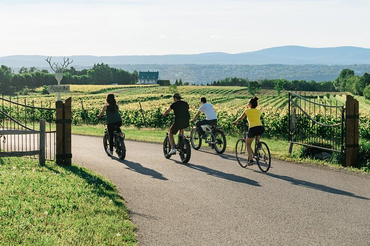 Guided E-bike food Tour on Ile d’Orleans, Quebec City