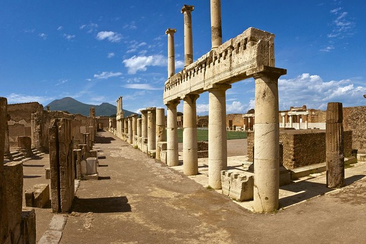 Skip-The-Line Pompeii Lunch&WineTasting from Naples Port