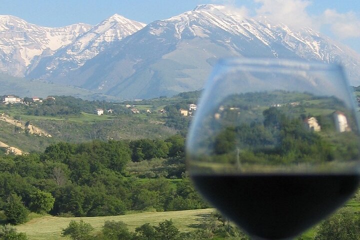 Wild Abruzzo TruffleHunting WineTasting CookingClass Experience from Rome
