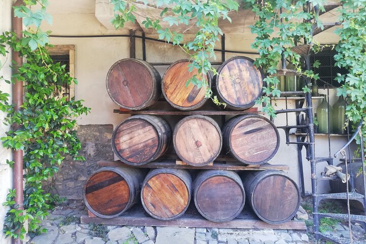 A Lovely Wine Private Guided Tour from Rome
