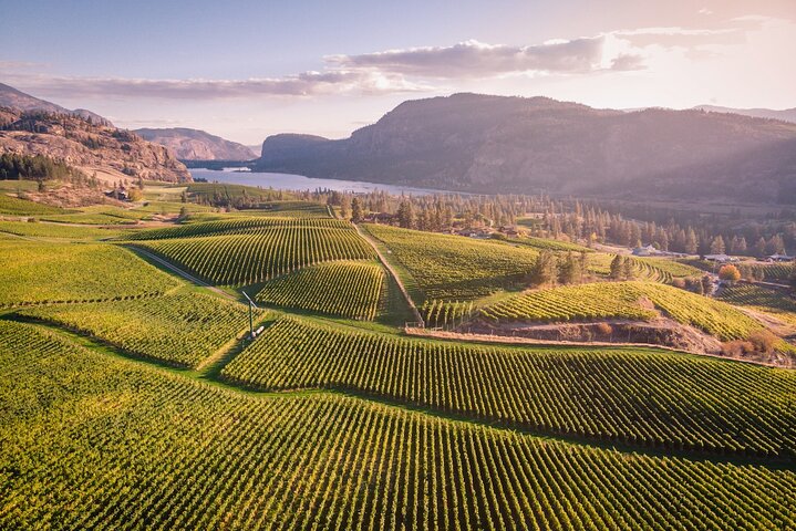 Penticton Wine Tour + Lunch