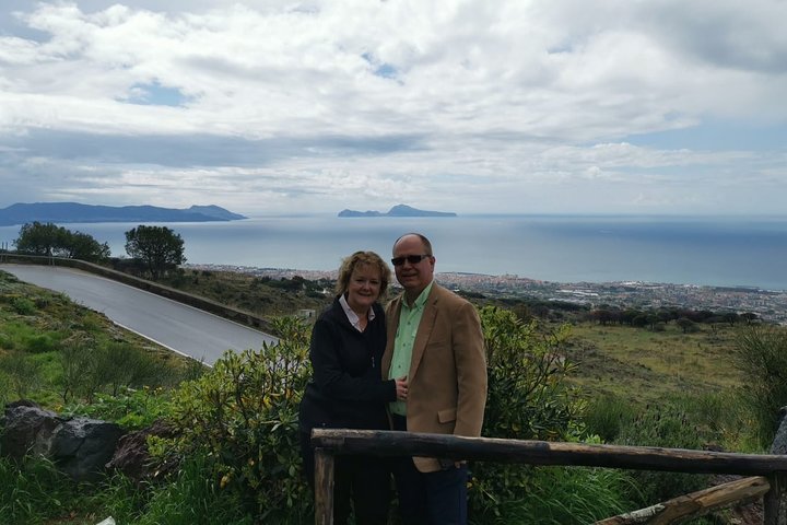 Pompeii Skip-The-Line and Mt Vesuvius with Lunch&WineTasting from Naples Port