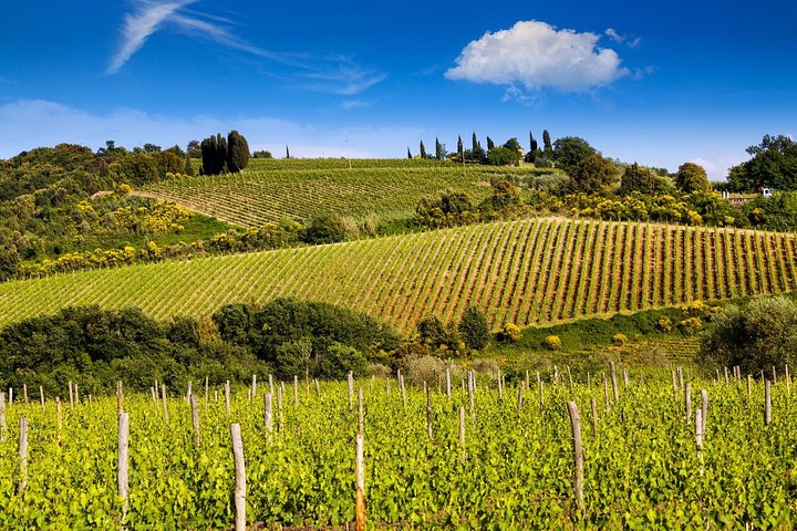 Classic Wine Tour in Chianti from Florence