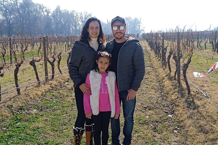 Cousiño Macul Vineyard – Maipo Valley – Premium Tasting (VIP) HD