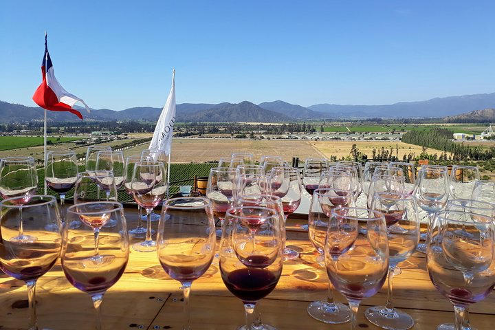Small-Group Wine-Tasting tour through Casablanca valley