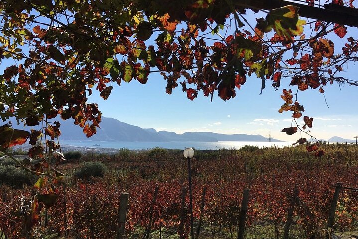 Pompeii, food and Wine