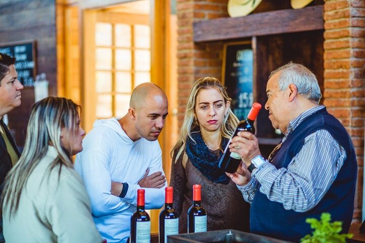Wines in Casablanca Valley from Valparaiso