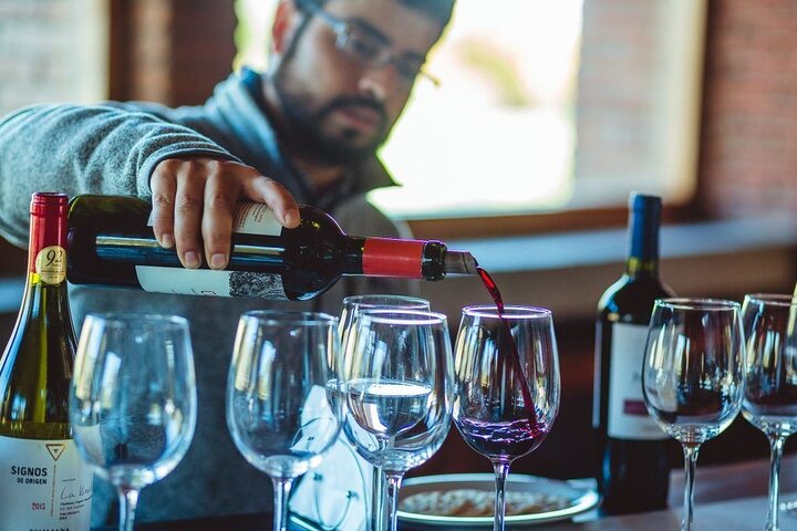 Emiliana Vineyard Organic Wine Tour in Valparaiso