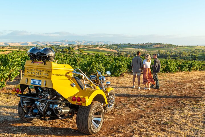 Einzigartige halbtägige private Trike Barossa Valley Tour für 2 Personen