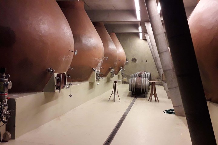 Casablanca Wine Innovation Tour: Bodegas RE and Casas del Bosque